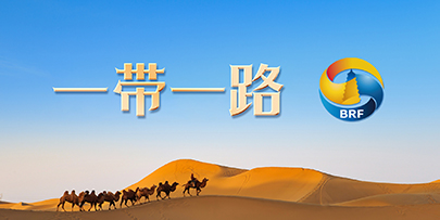 “一带一路”国际形象网宣片        